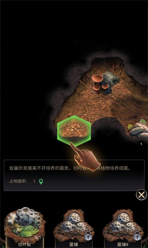 模拟地下蚁国手机中文版