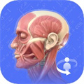 解剖学图谱app