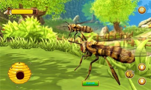 Honey Bee Bug Games_图3
