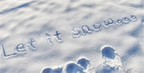 雪地写字器图片