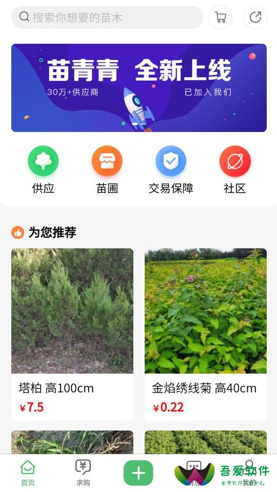 苗青青app_图1