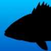 咸水钓鱼规则app